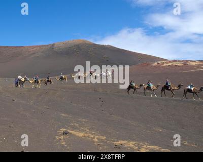 Eine Gruppe von Menschen, die Kamele durch die vulkanische Landschaft im Timanfaya Nationalpark reiten, Lanzarote, Kamele vor den Lavabergen auf lanzarote Stockfoto