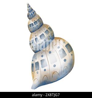 Illustration mit Muschelaquarell. Handgezeichnete Skizze einer spiralförmigen Meeresschale in Pastellblau und Beige. Zeichnung der Küste für die nautische Gestaltung. Cockleshell für Symbol oder Logo. Meereselement. Stockfoto