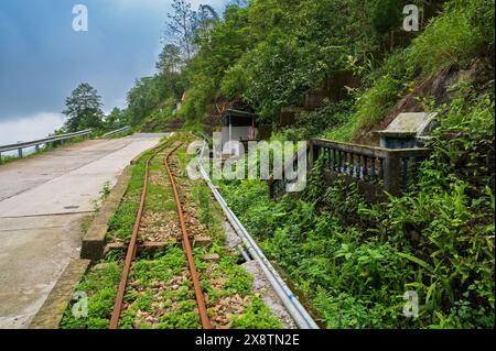 Betonstraße, die durch die Berge des Himalaya und den üppigen grünen Wald führt. Landschaftlich schöne Monsunlandschaft in Darjeeling, Westbengalen, Indien. Stockfoto