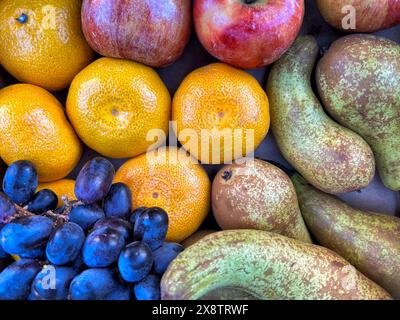 Äpfel, Birnen, Trauben und Satsumas Stockfoto