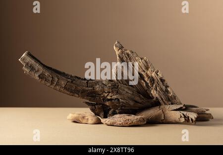Abstrakte Naturszene mit einer Komposition aus Steinen und Trockenschlingen auf beigefarbenem Hintergrund. Kopierbereich. Stockfoto