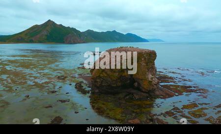 Felsiger Stein im Meer an der Küste. Clip. Blick von oben auf Felsen im Meer in der Nähe der Küste mit Algen nach Sturm. Nördliche Küstenlandschaft mit Felsen im bewölkten Sommer Stockfoto