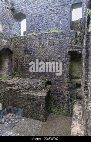 Die alten historischen Burgruinen von Castell Dinefwr im Dinefwr Park in den Brecon Beacons in Wales, Großbritannien Stockfoto