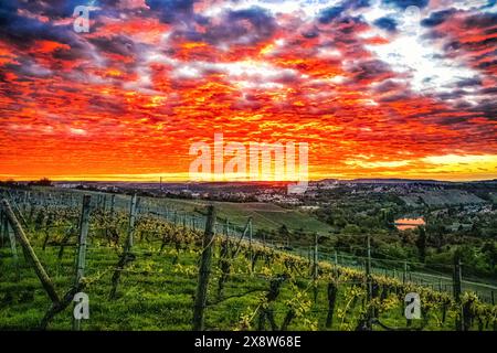 Fantastischer Sonnenuntergang über Stuttgart Neckar, Weinberge, Neckartal, Bad Cannstatt, Münster Stockfoto