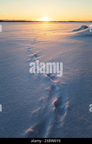 Blick auf die Fußstapfen auf einem gefrorenen und verschneiten See in Finnland bei Sonnenuntergang. Wunderschöne natürliche und ruhige Winterlandschaft. Stockfoto