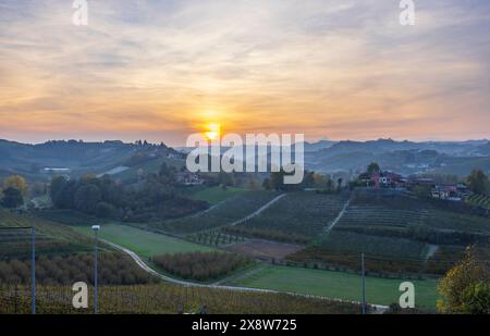 Typischer Weinberg in der Nähe von Canale, Barolo Weinregion, Provinz Cuneo, Region Piemont, Italien Stockfoto