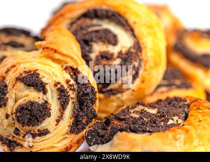 Gebackene Mohnschnecken vor weißem Hintergrund Stockfoto
