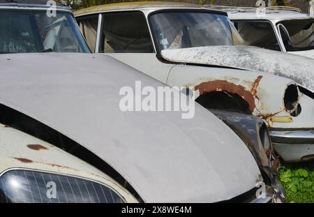 Klassische französische Automobile auf einem Autohof im Freien Stockfoto