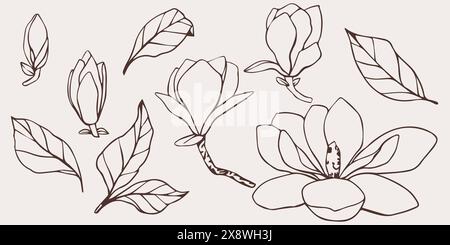 Hand gezeichnete Vektor Magnolienblume, Satz der Silhouette Umrissillustration. Isoliertes Blumenelement. Blütenknospen verschiedener Formen. Abbildung für Stock Vektor