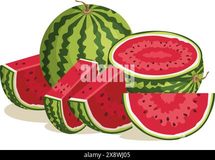 In Scheiben geschnittene Wassermelone verschiedene Stücke der saftigen Wassermelonen Vektor-Zeichentrickobst Illustration Stock Vektor