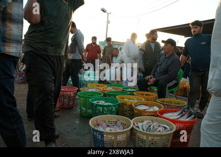 Foto von irakischen Einkaufen auf dem traditionellen Fischmarkt in basra Stockfoto