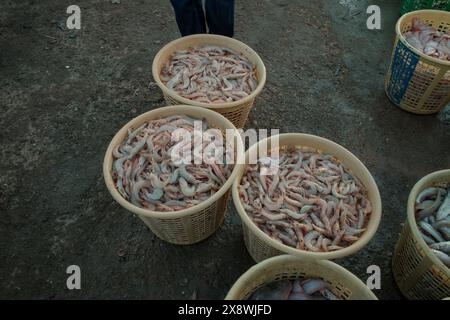 Foto von irakischen Einkaufen auf dem traditionellen Fischmarkt in basra Stockfoto