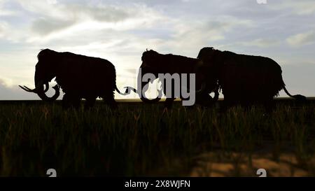 Eine 3D-Illustration einer Gruppe von Woolly-Mammuts, die in den Sonnenuntergang gehen Stockfoto