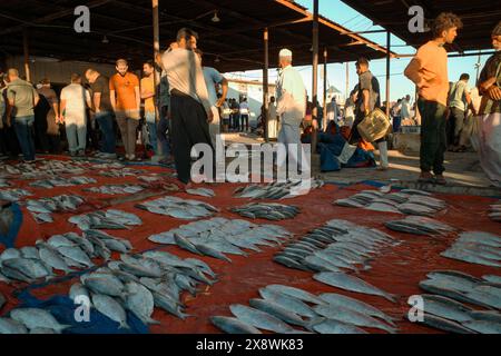 Foto von irakischen Einkaufen auf dem traditionellen Fischmarkt in basra Stockfoto