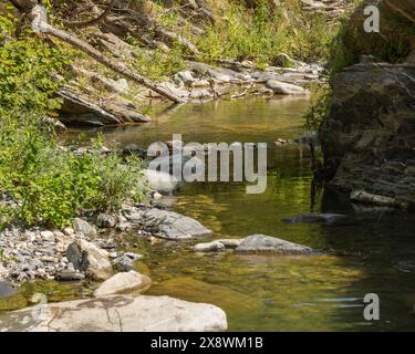 Der friedliche Bach schlängelt sich durch einen abgelegenen Wald, dessen Wasser sanft das üppige Grün und das verfleckte Sonnenlicht reflektiert und einen ruhigen Rückzugsort schafft Stockfoto