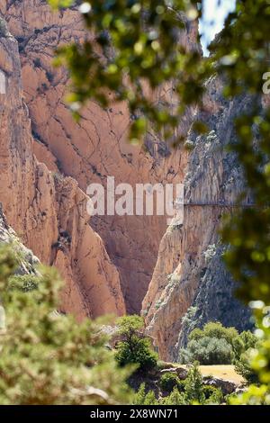 Ein Blick durch die Bäume des schwindelerregend hohen Gehweges, der an den Felswänden der engen Schlucht in El Chorro, Malaga, Spanien, befestigt ist Stockfoto