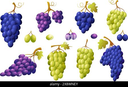 Cartoon-Weingut und Beeren. Trauben aus roten und weißen Trauben mit Blättern. Natürliche frische Wein- und Saftrohstoffe, Vitaminnahrung heutzutage Stock Vektor