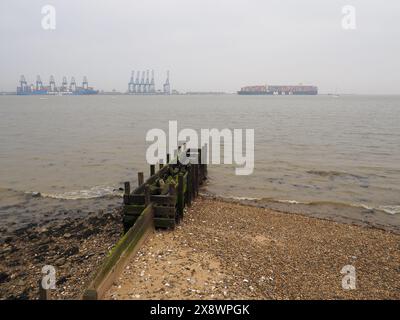 Felixstowe Containerhafen von Harwich aus gesehen, Holzgegend im Vordergrund. MSC-Containerschiff und Cosco-Containerschiff in der Ferne. Stockfoto