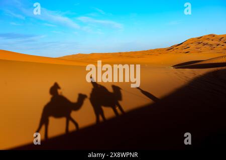 MAROKKO. REGION TAFILALET (SÜDMAROKKO). KAMELRITT IN DEN DÜNEN VON MERZOUGA (ERG CHEBBI) Stockfoto