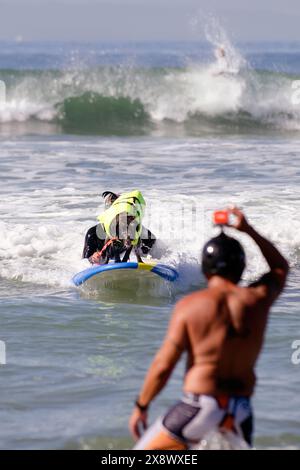 Weltberühmter Surf Dog Competitionin Huntington Beach, Kalifornien Stockfoto