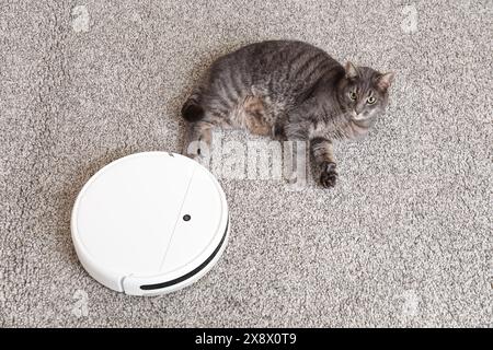 Niedliche Katze mit modernem Roboter-Staubsauger, der auf Teppich liegt Stockfoto