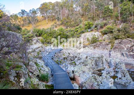 Wollemombi Wasserfall Falls im Oxley Rivers National Park, Australiens zweitgrößtem Wasserfall, Wanderweg zu Lookouts, Australien Stockfoto