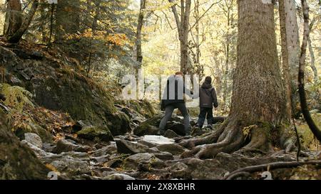 Junge aktive Frau und ihr Sohn wandern, wandern im Wald. Kreativ. Herbstspaziergang auf steinigen Pfaden mit Baumwurzeln. Stockfoto