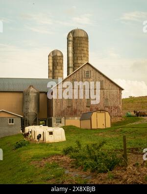 Scheune und Silos auf einer Farm in Glen Rock, Pennsylvania Stockfoto