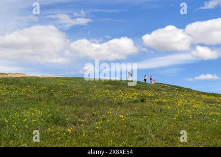 Eine Familie macht eine Wanderung und einen Hundeschritt im Nose Hill Park, Calgary, Alberta, Kanada Stockfoto