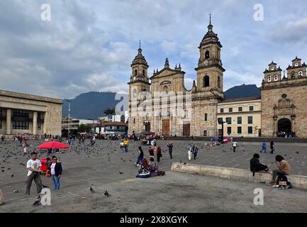 Auf dem Hauptplatz befindet sich der Hauptplatz der Metropolitan Cathedral Basilica von Bogota oder Primatial Cathedral von Bogotá Kolumbien - Kolumbien Stockfoto