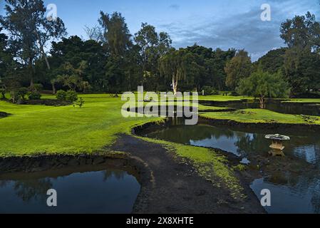 Grünes Grasfeld entlang des örtlichen Teichs in Hilo, Hawaii. Stockfoto