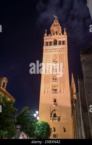 Der alte Giralda-Turm in Sevilla, Spanien, bei Nacht Stockfoto