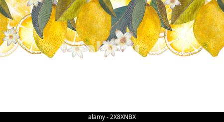 Nahtlose Randillustration mit hellgelben Zitronen, grünen Blättern, weißen Blüten und Zitronenscheiben. Stockfoto
