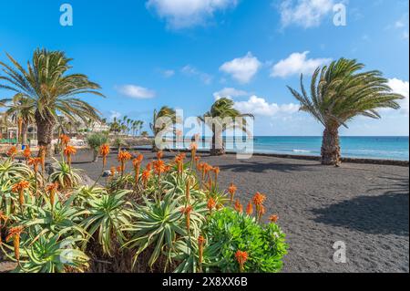 Landschaft mit Costa Teguise auf Lanzarote, Kanarische Inseln Stockfoto