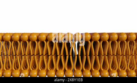 3D-Darstellung von Lipidbilayer auf weißem Hintergrund Stockfoto