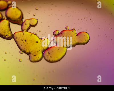 Mischung aus Wasser und Öl, schöner abstrakter Hintergrund. Abstraktes buntes Hintergrundöl im Wasser mit bunten Farbverläufen. Makrobild. Stockfoto