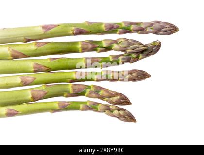 Grüne Spargelspitzen auf weißem Hintergrund Stockfoto