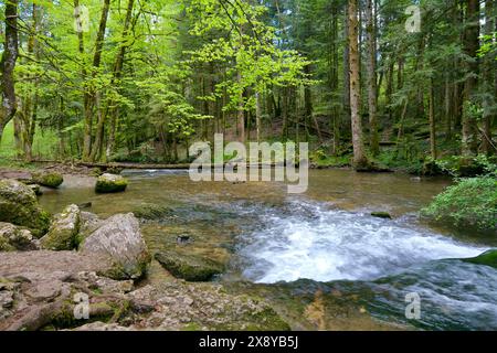 Frankreich, Jura, Doucier, die geheime Naturstätte, die Herisson-Wasserfälle am Hérisson-Bach Stockfoto