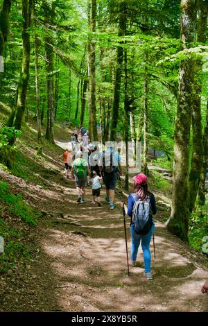 Frankreich, Jura, Doucier, die geheime Naturstätte, die Herisson-Wasserfälle am Hérisson-Bach Stockfoto