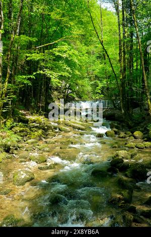 Frankreich, Jura, Doucier, die geheime Naturstätte, die Herisson-Wasserfälle am Hérisson-Bach Stockfoto