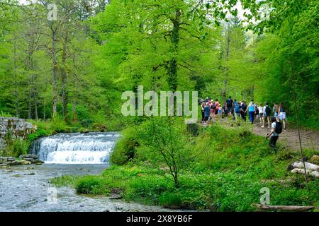 Frankreich, Jura, Doucier, die geheime Naturstätte, die Herisson-Wasserfälle am Hérisson-Bach Stockfoto