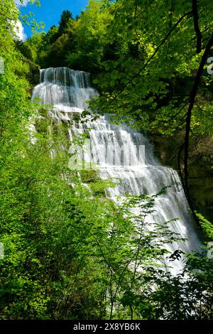 Frankreich, Jura, Doucier, die klassifizierte Naturstätte, die Herisson-Wasserfälle am Hérisson-Bach, L’Eventail-Wasserfall, 65 Meter Stockfoto