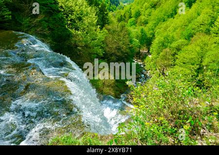 Frankreich, Jura, Doucier, die klassifizierte Naturstätte, die Herisson-Wasserfälle am Hérisson-Bach, L’Eventail-Wasserfall, 65 Meter Stockfoto