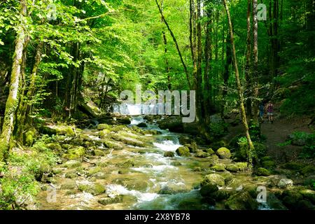 Frankreich, Jura, Doucier, die geheime Naturstätte, die Herisson-Wasserfälle am Hérisson-Bach Stockfoto