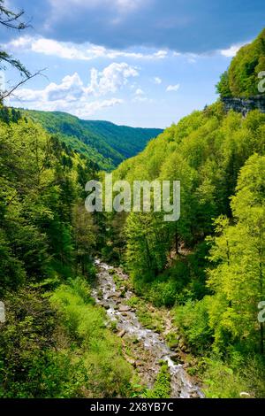 Frankreich, Jura, Doucier, die geheime Naturstätte, die Herisson-Wasserfälle am Hérisson-Bach Stockfoto