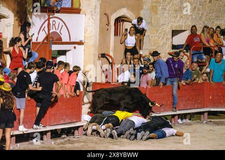 Frankreich, Gard, Aigues-Vives, örtliches Festival, spielen mit einem Stier in einem lustigen Schwimmbad in einer Stierkampfarena Stockfoto