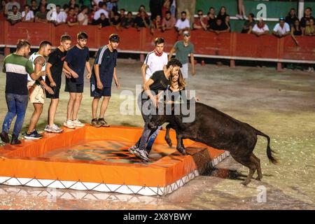 Frankreich, Gard, Aigues-Vives, örtliches Festival, spielen mit einem Stier in einem lustigen Schwimmbad in einer Stierkampfarena Stockfoto