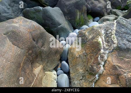 Felsbrocken auf Westward Ho! Strand, Nord devon, england Stockfoto