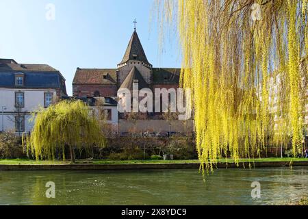 Frankreich, Bas Rhin, Straßburg, Altstadt, die von der UNESCO zum Weltkulturerbe erklärt wurde, Ufer der Ill, Quai Saint Etienne und Kirche Saint Etienne Stockfoto