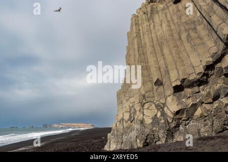 Island, Sudurland Region, Reynisfjara, Basaltsäule Stockfoto